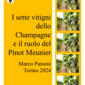 I sette vitigni dello Champagne e il ruolo del Pinot Meunier nella valle della Marna